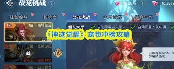 神迹觉醒怎样提升宠物评分