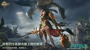 怪物猎人旅人里技能应该怎么搭配