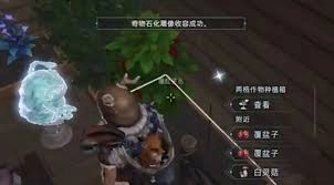 荒原曙光如何收容石化雕像