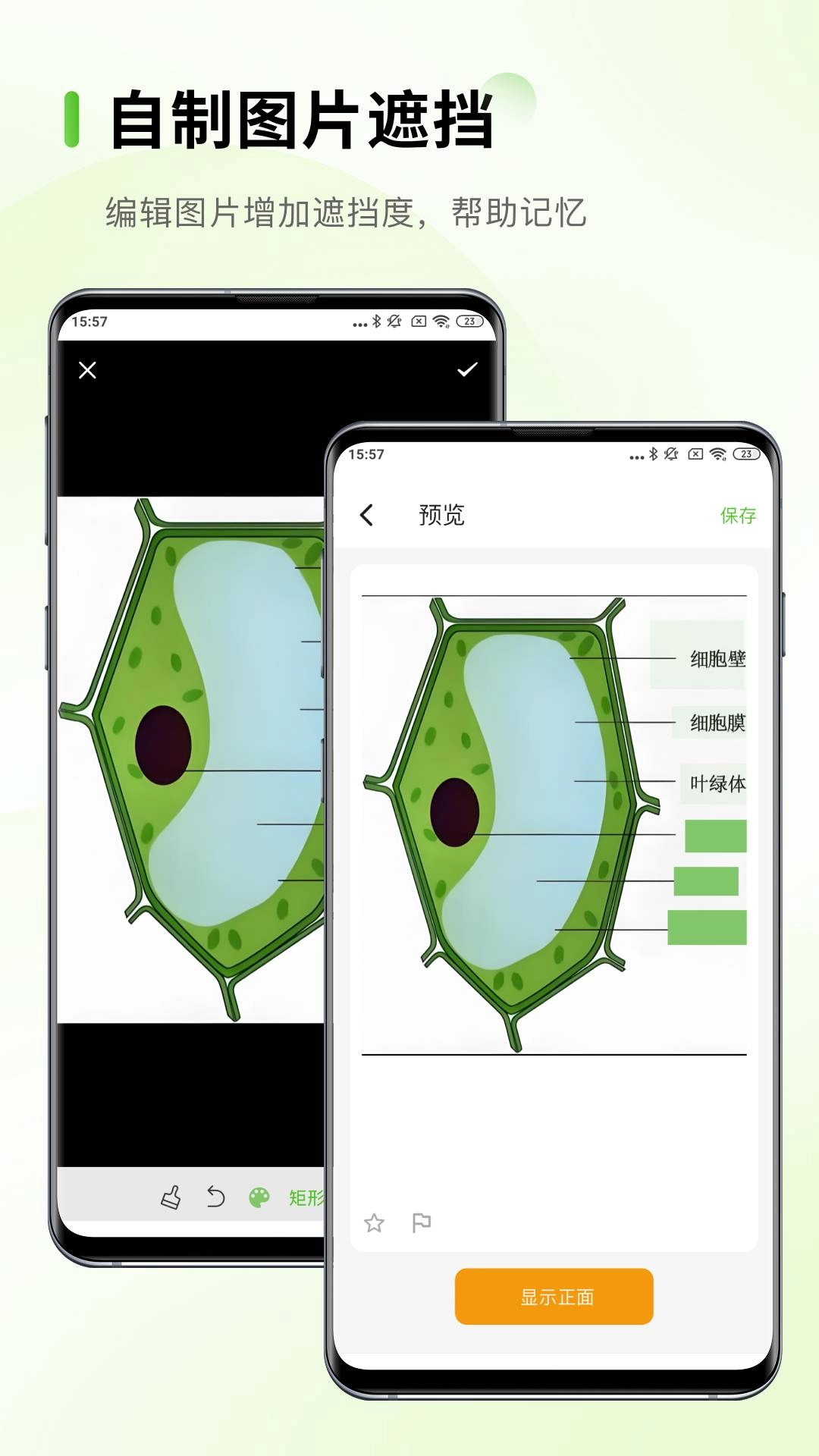 Anymo无广告版图4