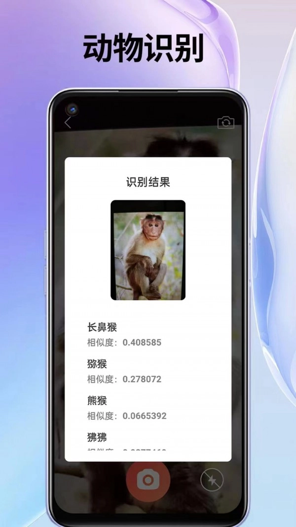 叮叮袋通用版