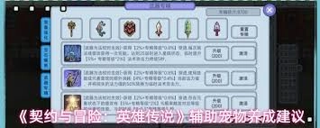 契约与冒险英雄传说肉盾宠物培育攻略
