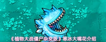 植物大战僵尸杂交版里的寒冰大嘴花强度如何