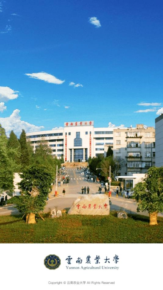 云南农业大学正版图1
