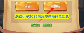 跃动小子感恩节的兑换码是什么呀