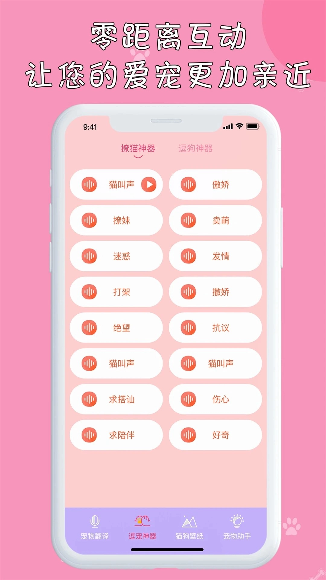 小猫正版图3