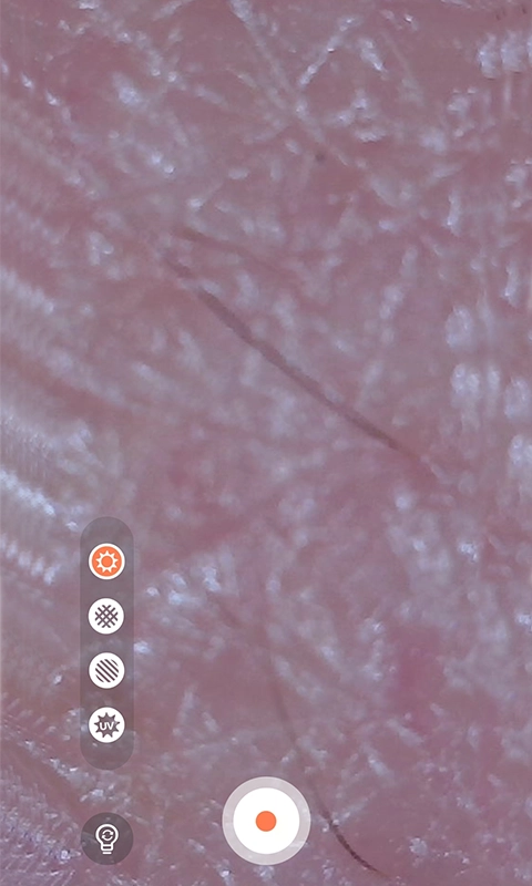 MoreMeSPA免费正版图1