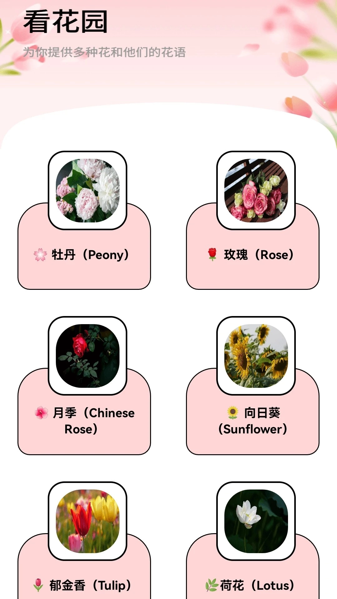 月光短剧安卓版图3