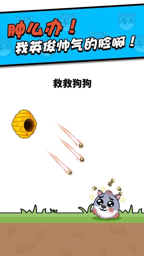 救救小狗离线版图4