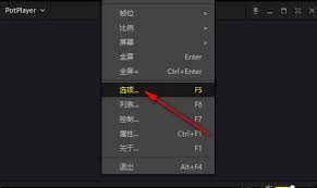 PotPlayer的自动更新功能该如何设置