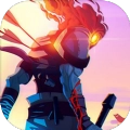 dead cells