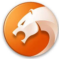 猎豹安全浏览器的英文版官方搜索入口具体位置在哪里？
