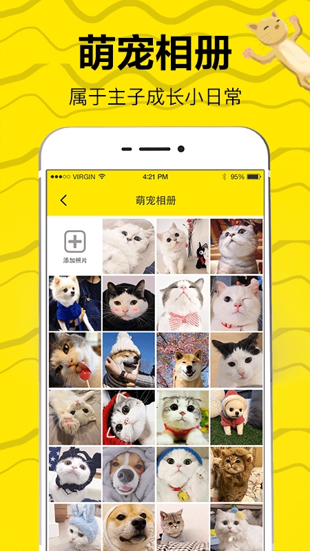猫狗翻译安卓官方版图2