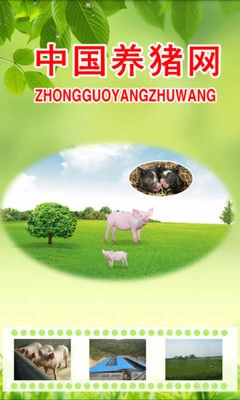 中国养猪网图1