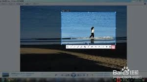 Snipaste如何设置固定区域进行重复截图