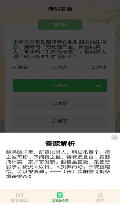 成语掌门人安卓免费版图2