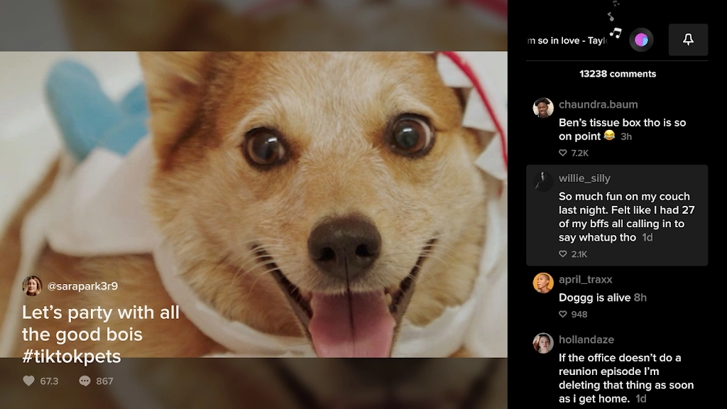 TikTok TV版图3