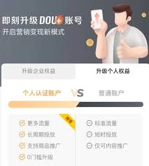 在抖音平台上如何进行DOU+投放