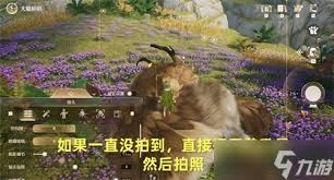 无限暖暖危险摄影羽翼巨兽任务通关攻略