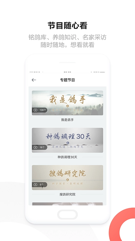 搜鸽网图3