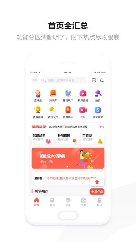 搜鸽网图1