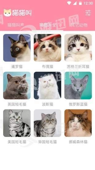 猫猫叫安卓直装版图2