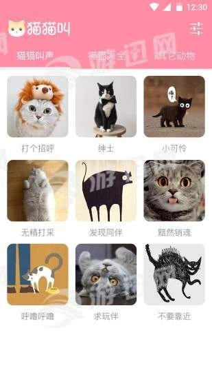 猫猫叫安卓直装版图3