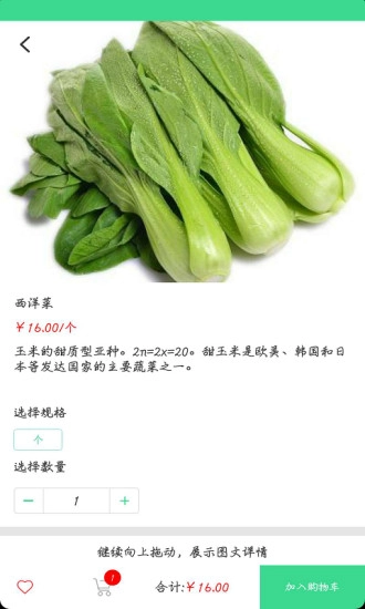 日日鲜手机版