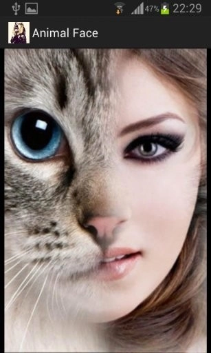 Animal Face 图2