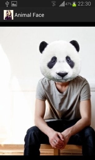 Animal Face 图1