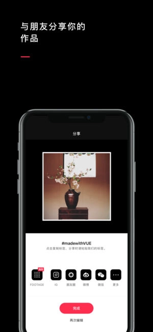 VUE 官方最新版图5
