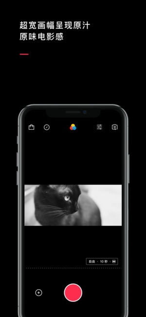VUE 官方最新版图4