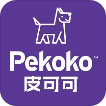 皮可可打印机