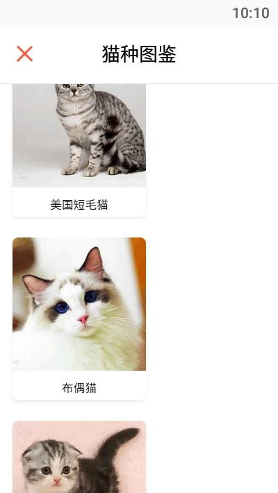 猫语翻译助手截图3