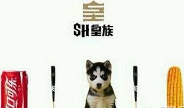 DOTA玩家怒批英雄联盟S4失利归纳三大原因