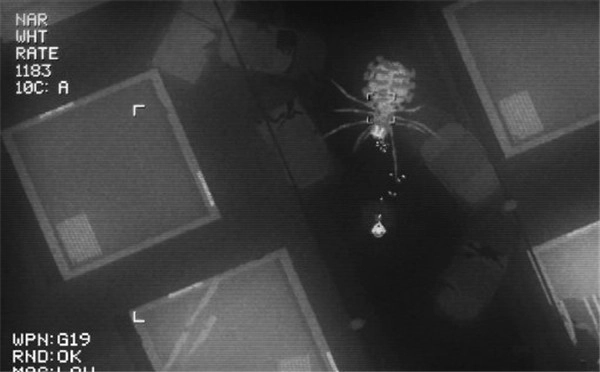 新作《黑夜降临》预告片正式发布10月22日PC平台上线