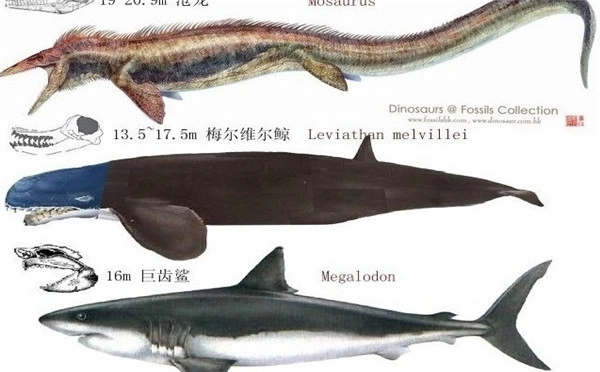 《方舟：生存进化》更新宣传片首次曝光新增恐龙宝宝养育玩法