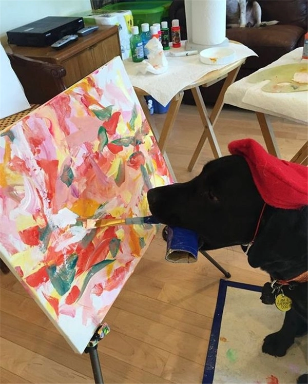 城里人可真会整活，狗界竟出了位达芬奇！