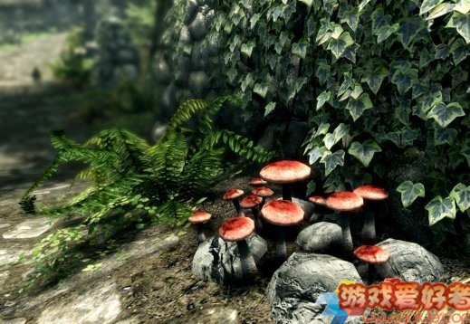 官方正式确认：《上古卷轴5天际》重制版不会添加新内容