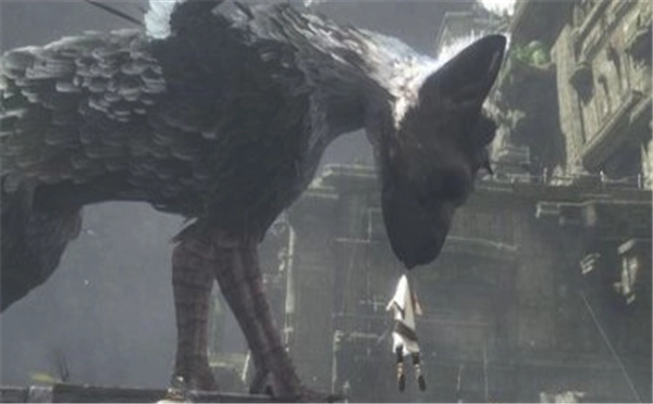 PS4平台重磅作品《最后的守护者》实机演示视频公布预计年末正式推出