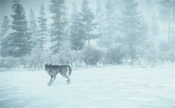 《科纳风暴》PC独占的说法被推翻？游戏可能登陆Switch平台