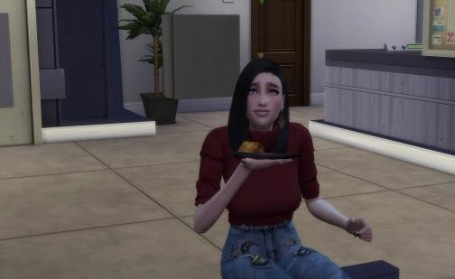 模拟人生4秘籍大全