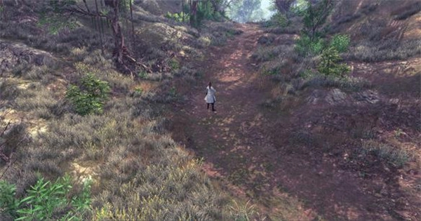 侠客风云传前传中十大侠客的实力排名