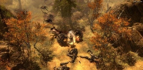 恐怖黎明雾裔护符的获取途径是什么