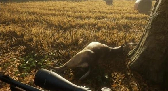 猎人：野性的呼唤》三类主要枪械性能深度解析