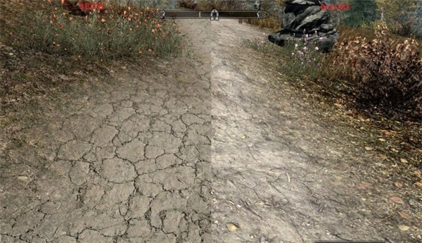 《上古卷轴5》高清材质全面优化MOD额外添加10GB超清4K材质资源