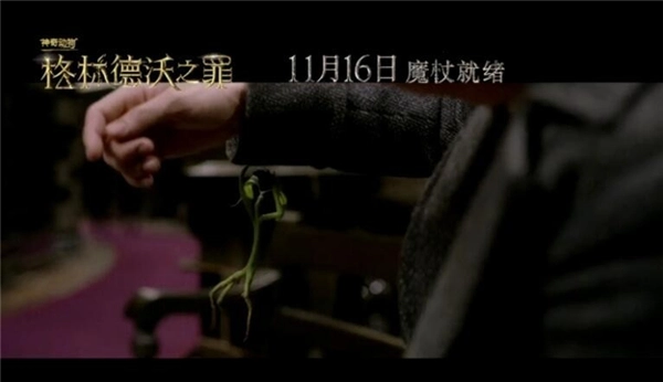 《神奇动物：格林德沃之罪》“探秘神奇生物”预告中国神兽竟成呆萌小猫咪