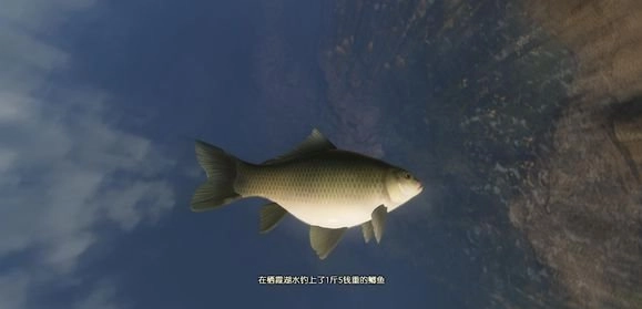 古剑奇谭3中鲫鱼的垂钓地点及获取方式汇总