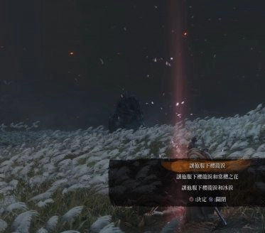 只狼影逝二度的结局究竟如何？这里为你带来结局解析与分享