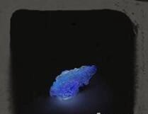 只狼影逝二度里源之琉璃的位置在哪？一周目所有源之琉璃的获取地点说明